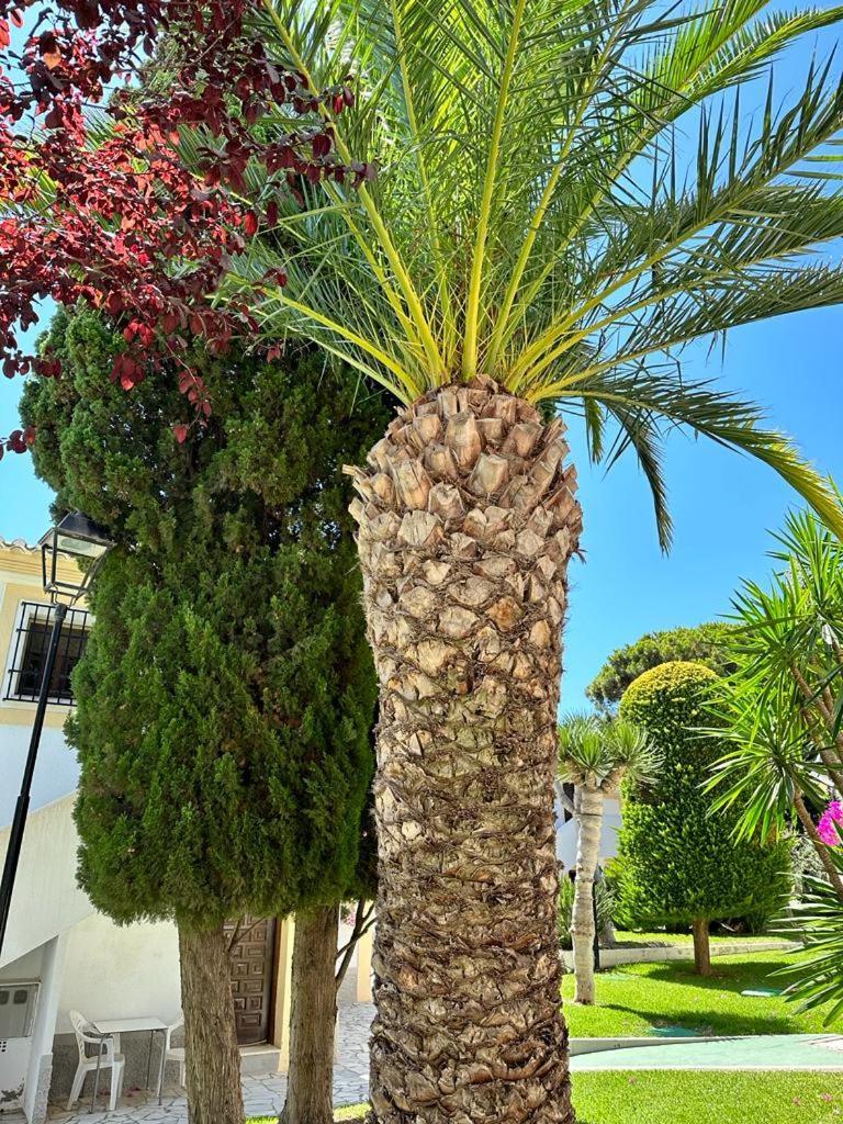 Casa De Familia Vera Coast Экстерьер фото
